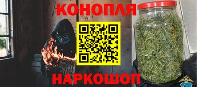 PSILOCYBIN Гагарин