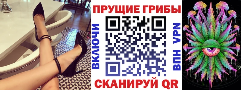 Галлюциногенные грибы Psilocybine cubensis  MEGA ONION  Кропоткин 