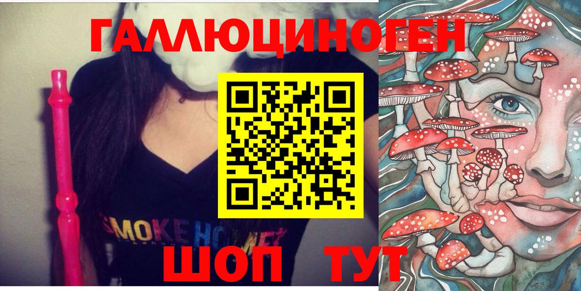 Кропоткин  Псилоцибиновые грибы прущие грибы  Вход с VPN 